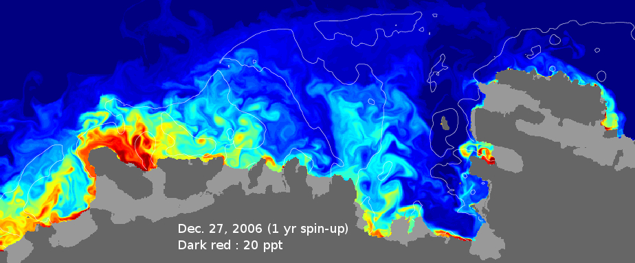 Snapshot from modeled glacial meltwater in Amundsen Sea